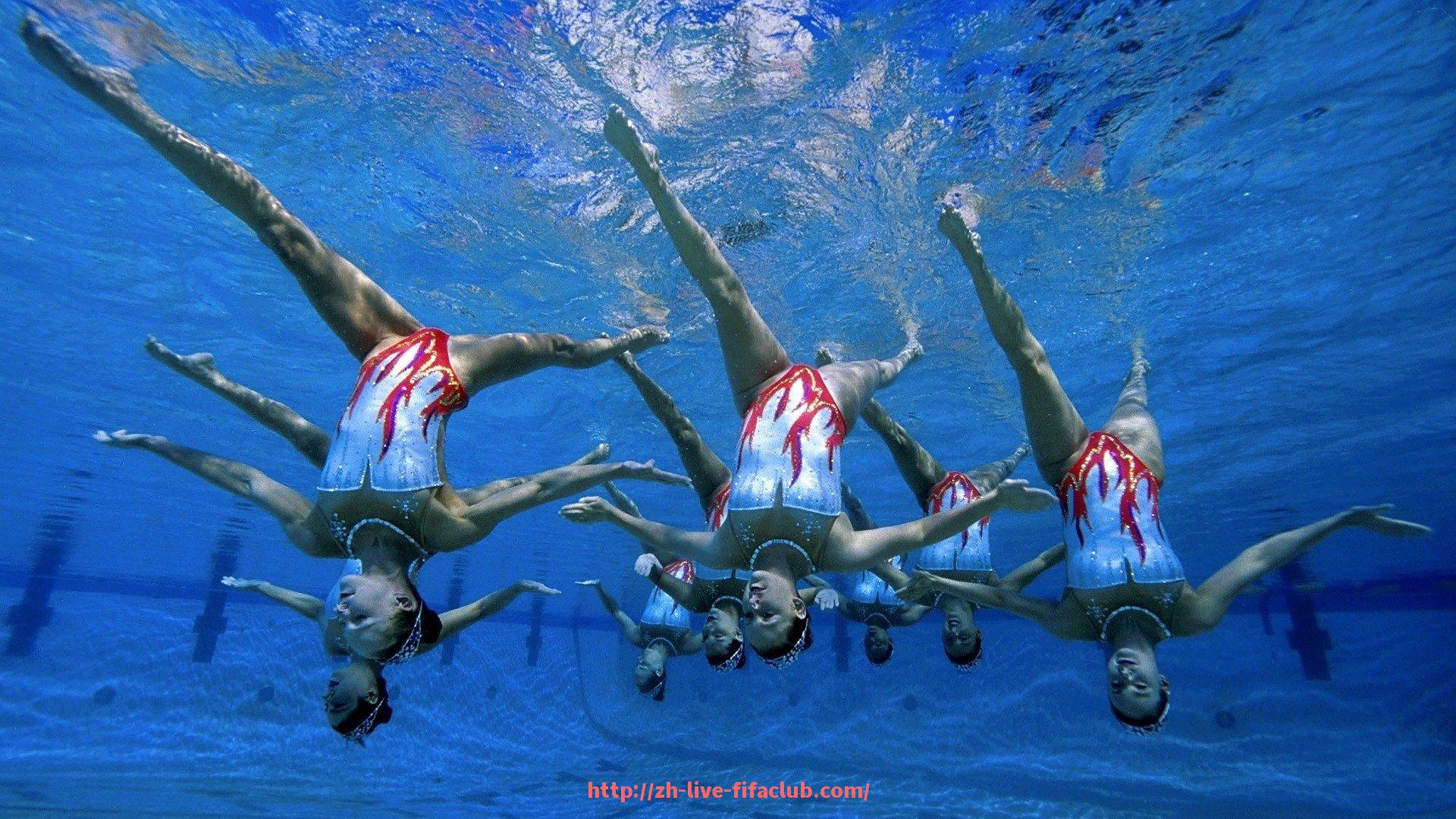 世俱杯直播-世俱杯赛事沟通协调机制在多方协作中的关键作用解析